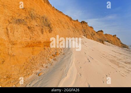 Rotes Kliff / Rote Kliff, 30 Meter hohe Meeresklippen zwischen Wenningstedt und Kampen auf der deutschen Nordseeinsel Sylt, Schleswig-Holstein, Deutschland Stockfoto
