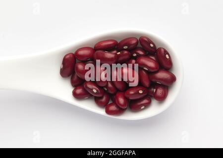 Makro-Nahaufnahme von organischen Rajma, (Laal Lobia) oder roten Kidney-Bohnen auf einem weißen keramischen Suppenlöffel. Draufsicht Stockfoto