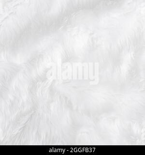 Closeup Tier weißer Wolle schaf Hintergrund in der Ansicht von oben Licht natürlicher Detailtreue, grau flauschige Baumwolle nahtlose Textur. Lamm Fell Haut faltig, Teppich Matte Stockfoto