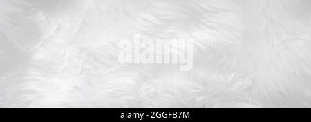 Closeup Tier weißer Wolle schaf Hintergrund in der Ansicht von oben Licht natürlicher Detailtreue, grau flauschige Baumwolle nahtlose Textur. Lamm Fell Haut faltig, Teppich Matte Stockfoto
