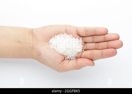 Makro Nahaufnahme von organischem weißem Sago oder Sabudana in kleiner Größe auf der Handfläche einer weiblichen Hand. Draufsicht Stockfoto