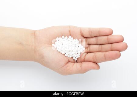 Makro Nahaufnahme von organischem weißem Sago oder Sabudana in großer Größe auf der Handfläche einer weiblichen Hand. Draufsicht Stockfoto