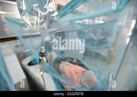 (210831) -- DHAKA, 31. August 2021 (Xinhua) -- EIN Dengue-Patient, der mit Moskitonetz bedeckt ist, wird in einem Krankenhaus in Dhaka, Bangladesch, am 31. August 2021 behandelt. (Xinhua) Stockfoto