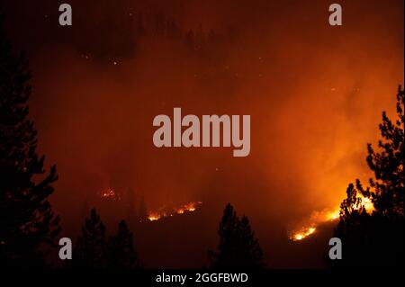 30. August 2021, Stateline, NV, USA: Während des Caldor-Feuers am Montag, den 30. August 2021 in El Dorado County, zieht das Feuer nach Norden in Richtung Christmas Valley entlang des Highway 89. (Bild: © Paul Kitagaki Jr./ZUMA Press Wire) Stockfoto