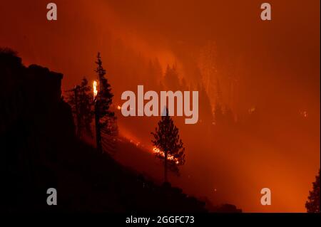 30. August 2021, Stateline, NV, USA: Feuer brennt auf dem Highway 50 östlich des Echo Summit während des Caldor-Feuers am Montag, den 30. August 2021 im El Dorado County. (Bild: © Paul Kitagaki Jr./ZUMA Press Wire) Stockfoto