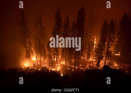 Stateline, NV, USA. August 2021. Das Feuer überquerte den Highway 50 östlich des Echo Summit und erreichte South Lake Tahoe während des Caldor-Feuers am Montag, den 30. August 2021. (Bild: © Paul Kitagaki Jr./ZUMA Press Wire) Stockfoto