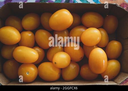 Gelbe reife Kirschtomaten in einem Papierkarton Stockfoto