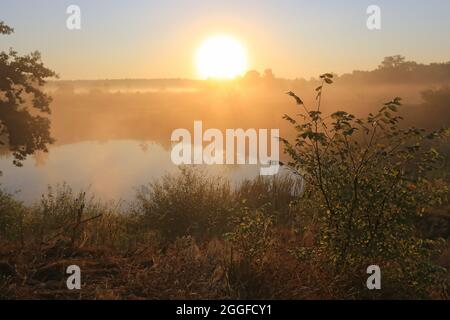 Morgenlandschaft mit Sonnenaufgang über dem See in der Steppe Stockfoto