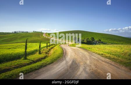 Monteroni d'Arbia, Route der Via francigena. Kurvenreiche Straße, Felder und Bäume. Provinz Siena, Toskana. Italien, Europa. Stockfoto