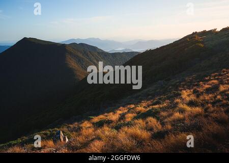 Sommeraufgang über Marlborough Klingt in Neuseeland Stockfoto