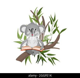 Der kleine graue Koala liest ein Buch, während er auf Eukalyptuszweigen sitzt. Vektorgrafik im Cartoon-Stil, flach Stock Vektor