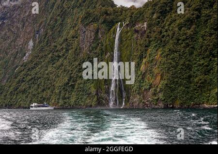 Enger Wasserfall, hoher Hang, grüne Vegetation, Wasserfallkaskadierung, Natur, Tour Boot Zwerg, Milford Sound, Fiordland National Park, Te Anau, New Ze Stockfoto