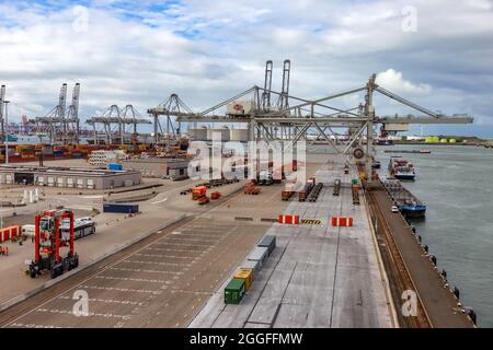 Containerterminal im Hafen von Rotterdam, Niederlande, 6. September 2015 Stockfoto