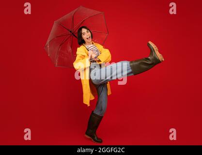 Positive Dame in guter Laune trägt Stiefel und gelben Regenmantel , unter transparentem Regenschirm zu Fuß und Spaß über roten Hintergrund, Studio s Stockfoto