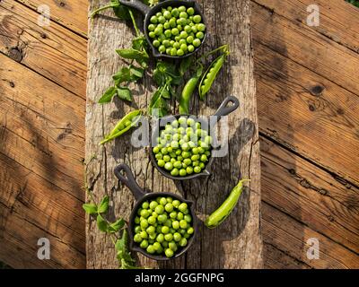 Frische grüne Erbsen jung in Schüsseln, auf Holztisch, Draufsicht, Samen, Schoten, Sprossen Stockfoto