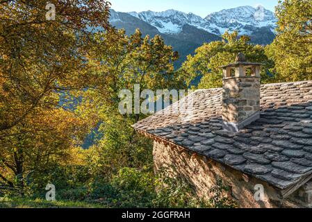 Uralter Kastanienwald im Bregaglia-Tal bei Soglio in Herbstfarben, Graubünden, Schweiz Stockfoto