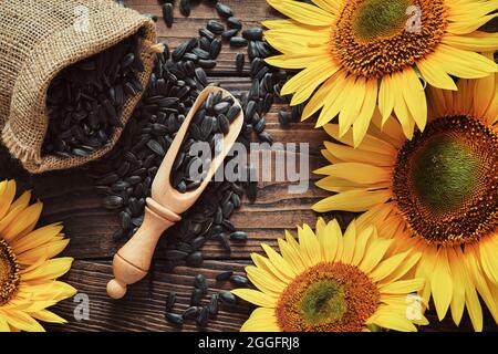 Leinenbeutel mit Sonnenblumenkernen, verstreuten schwarzen Samen und schönen gelben Sonnenblumen auf Holzbrett, Draufsicht. Stockfoto