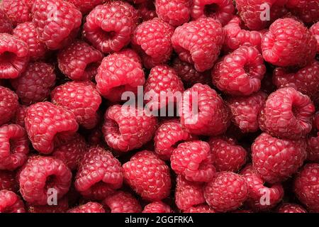 Frische reife Himbeeren, Draufsicht. Himbeer-Beeren Hintergrund. Stockfoto