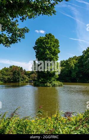 Der Schlosspark in Herten, Schlosssteich, Teich, Einzelbauminsel, NRW, Deutschland, Stockfoto
