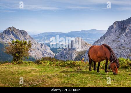 Der Naturpark Urkiola ist ein geschütztes Gebiet in der südöstlichen Ecke von Biskaya und Álava im nördlichen Baskenland, Spanien. Es ist ein Schutz Stockfoto