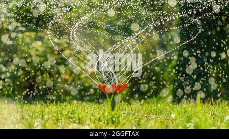 Rasenwassersprinkler sprühen Wasser über grünes frisches Gras im Garten oder Hinterhof an heißen Sommertagen. Automatische Bewässerung Ausrüstung, Rasenpflege, ga Stockfoto
