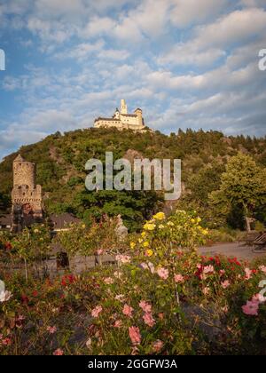 Blick auf die Marksburg vom Rosengartenpark am Rheinufer Stockfoto