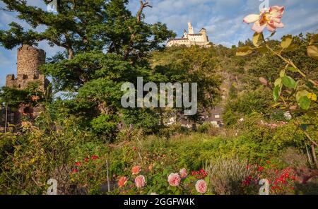 Blick auf die Marksburg vom Rosengartenpark am Rheinufer Stockfoto