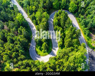 Asphaltstraße Serpentin im Wald. Luftaufnahme von der Drohne. Stockfoto