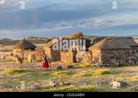 PUNO, PERU - 14. MAI 2015: Kleine Siedlung in der Nähe von Puno, Peru. Alte Frauen mit Lamas anwesend. Stockfoto