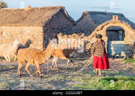 PUNO, PERU - 14. MAI 2015: Kleine Siedlung in der Nähe von Puno, Peru. Alte Frauen mit Lamas anwesend. Stockfoto