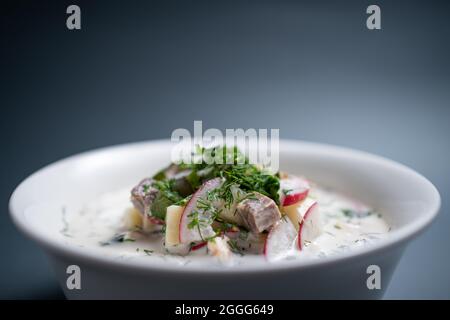 Nahaufnahme der traditionellen russischen kalten Suppe Okroshka in einer Schüssel auf schwarzem Hintergrund Stockfoto