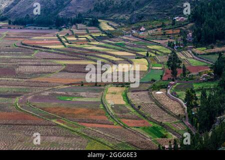 Landwirtschaftliche Terrassen im Heiligen Tal der Inkas in der Nähe von Pisac Dorf, Peru Stockfoto