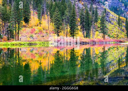 Herbstfarben spiegeln sich im Wenatchee River in den Cascade Mountains im Bundesstaat Washington, während er durch den Tumwater Canyon fließt Stockfoto