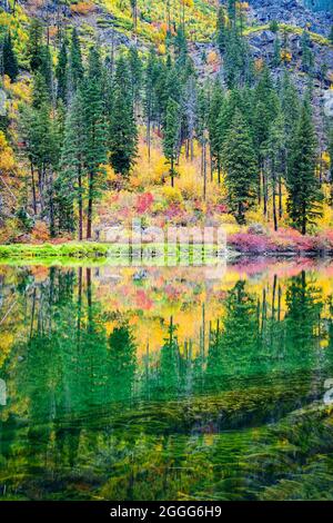 Herbstfarben spiegeln sich im ruhigen Wasser des Wenatchee River wider, der durch die Cascade Mountains des Staates Washington fließt Stockfoto