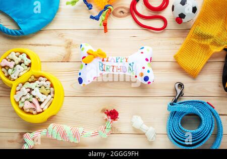 Verschiedene bunte Tierpflegezubehör: Ring, Knochen, Kugeln, Snacks auf natürlichem Holzhintergrund. Gummi- und Textilzubehör für Hunde.Draufsicht Stockfoto