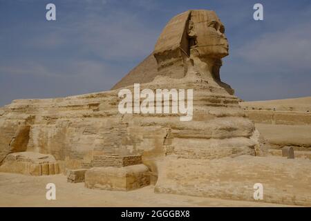 Ägypten Kairo - große Sphinx von Gizeh Panoramablick Stockfoto