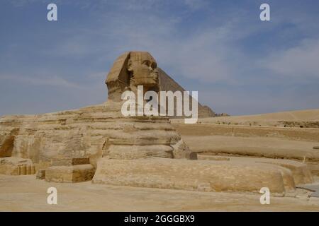 Ägypten Kairo - große Sphinx von Gizeh Panoramablick Stockfoto