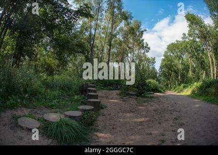 Kinver Edge, Rock Houses Trail, Trees Mit Holzbaumbauern, Kinver, Stourbridge, West Midlands Stockfoto