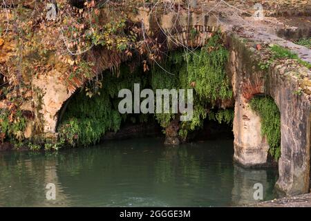 Alte Brücke in Alcala de Guadaira mit Maidenhair-Farnen darunter Stockfoto