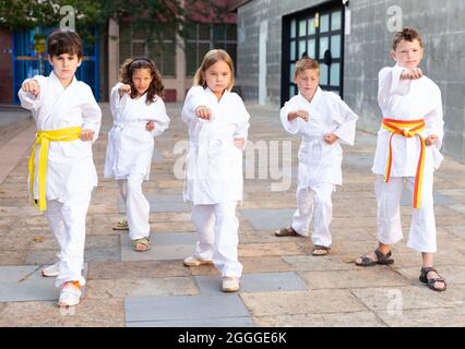Gruppe von Schulkindern, die Karate auf dem Schulhof üben Stockfoto