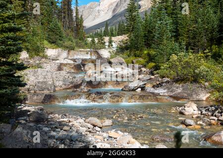 Schönes Mountain River Wasser Kaskadierung kleiner Wasserfälle über Polished Rock Stone Green Pine Forest. Sommer Wandern Banff National Park, Canada Rockies Stockfoto