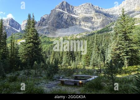 Picknickbereich Holzbank und Feuerring mit Green Meadow und Rocky Mountain Peaks im entlegen Hinterland Campingplatz, Banff National Park Canadian Rockies Stockfoto