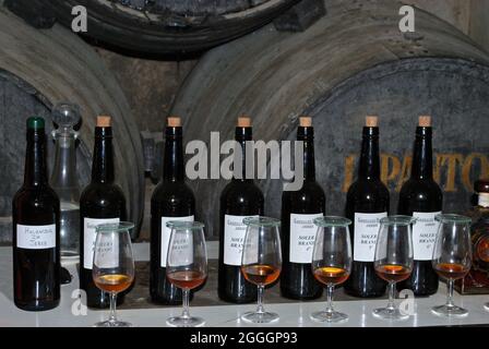 Reihe von Sherry-Flaschen und -Gläsern in der Gonzales Byass Bodega, Jerez de la Frontera, Spanien. Stockfoto