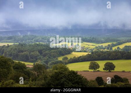 Blick von Newlands Corner auf die Surrey Hills, North Downs an einem nassen bewölkten Tag Anfang August Stockfoto