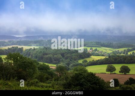 Blick von Newlands Corner auf die Surrey Hills, North Downs an einem nassen bewölkten Tag Anfang August Stockfoto