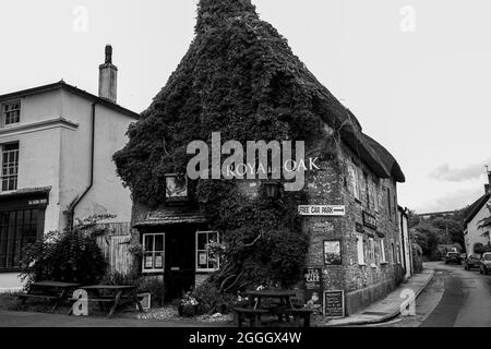 Royal Oak Cerne Abbas Stockfoto