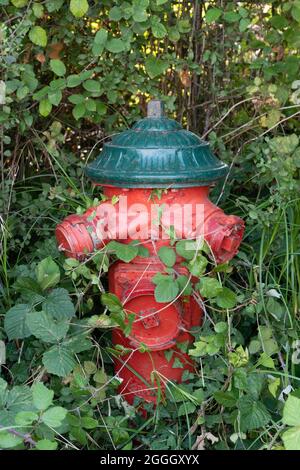 Hydrant in dem Land in der Nähe von Nantes in Frankreich Stockfoto