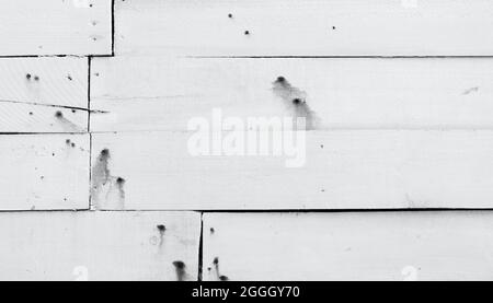 Weiße Holzwand Textur Hintergrund. Holzdiele Oberfläche Textur Hintergrund. Holz Holz Wand Textur Hintergrund. Außendesign. Schwarzer Fleck Stockfoto