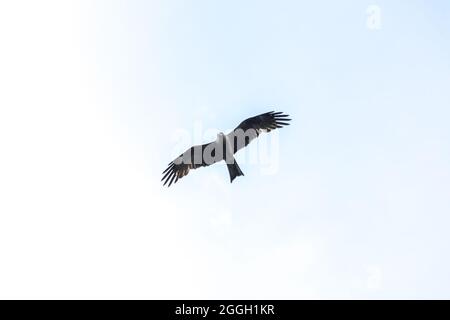 Mailand von unten aus fliegen Stockfoto