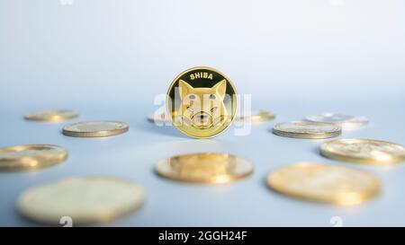 Shiba Inu- oder Shib-Münze, die zentral zwischen den Krypto-Münzen auf blauem Hintergrund platziert ist. Nahaufnahme, Weichfokus. Banner mit goldener Shiba-Marke. Stockfoto